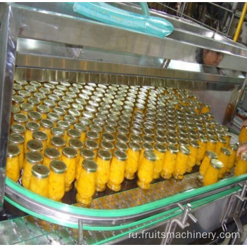 Peach/Cucumber Conneced Production Line